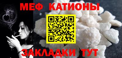 индика Камышлов