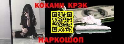 индика Камышлов
