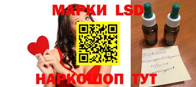 индика Камышлов