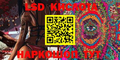индика Камышлов