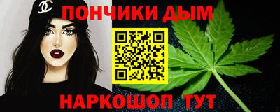 индика Камышлов