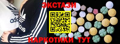 индика Камышлов