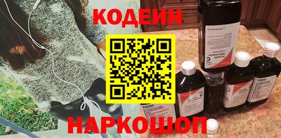 индика Камышлов