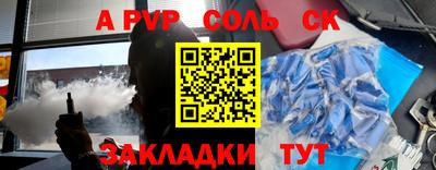 индика Камышлов
