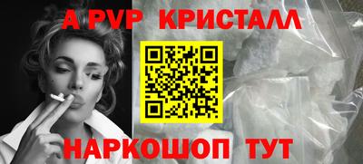индика Камышлов