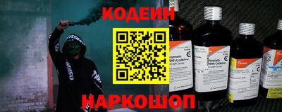 индика Камышлов