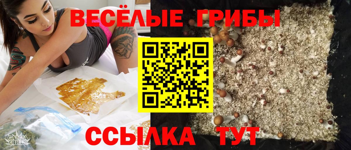 Галлюциногенные грибы Psilocybine cubensis Кушва